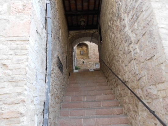 DSCN1110