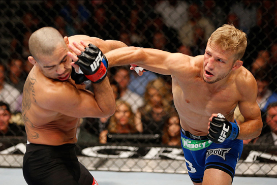Dillashaw massacrou Barão no primeiro encontro entre eles | Foto: UFC/Divulgação