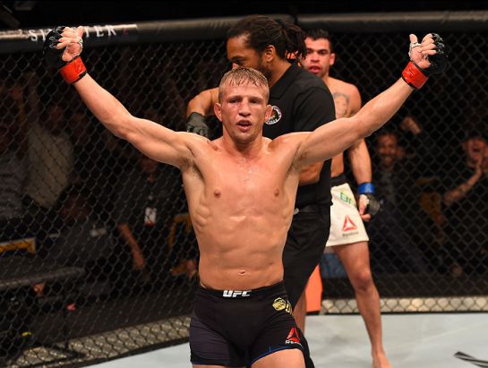 Dillashaw ergue os braços após nocautear Barão | Foto: UFC/Divulgação