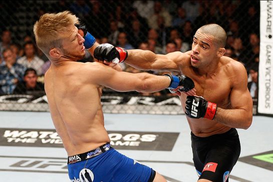 Barão atacando Dillashaw na primeira luta, em maio de 2014 | Foto: UFC/Divulgação