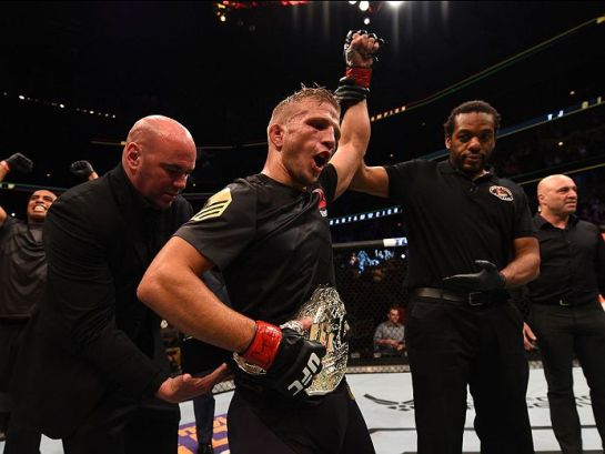 Dillashaw segue com o cinturão dos galos | Foto: UFC/Divulgação