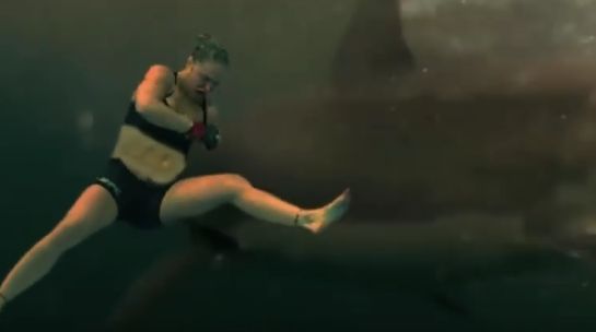 Vídeo mostra Ronda acertando vários socos em tubarão | Foto: reprodução
