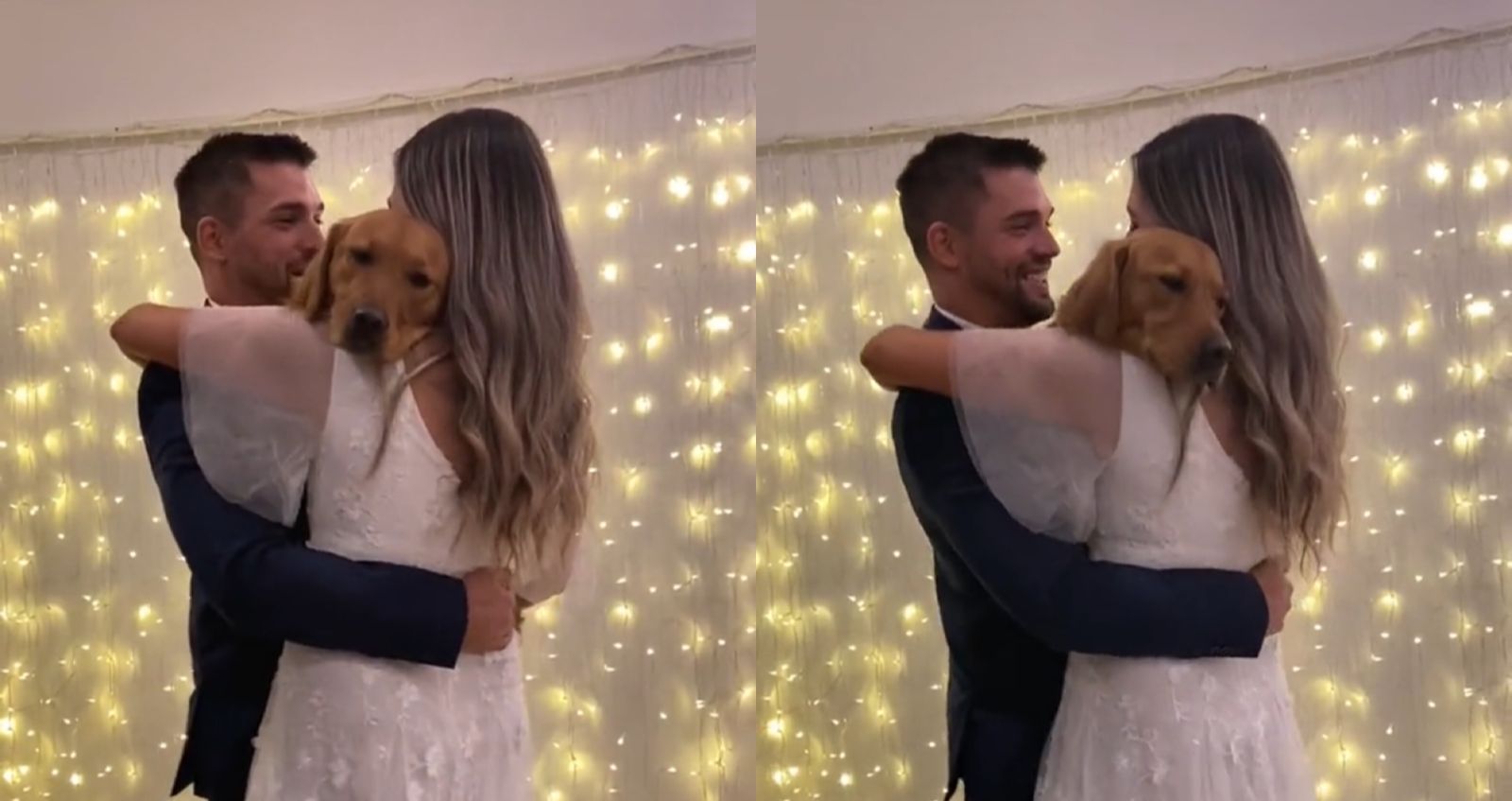 Casal viraliza após dançar valsa de casamento com cachorro 