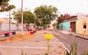 Moradores plantaram as árvores e cuidam da praça na rua Bruno Epaminondas de Oliveira, no bairro Papicu