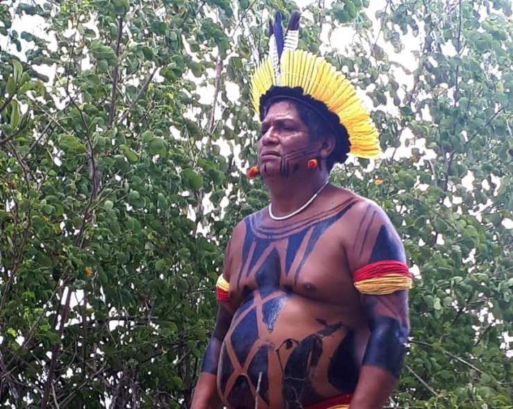 Homem índio sem camisa. Na cabeça usa um cocá com penas amarelas. No tronco, diversos desenhos tradicionais de sua tribo, na cor preta. 