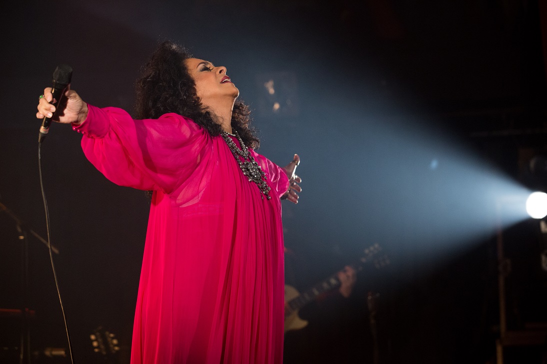 cantora gal costa