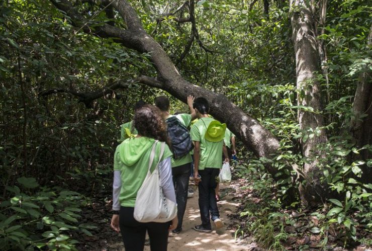 Sesc Iparana Hotel Ecológico abre seleção gratuita para voluntários