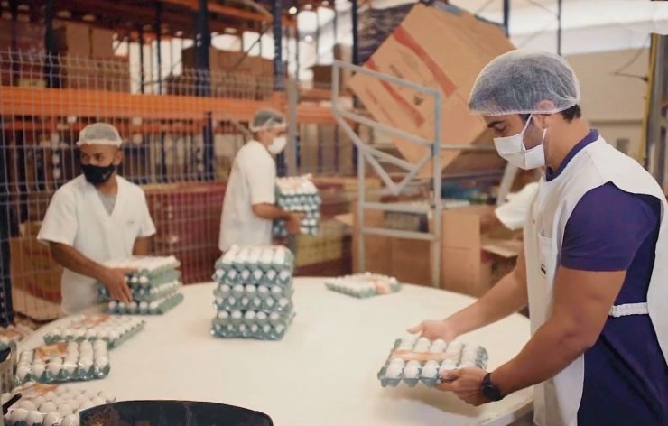 Mesa Brasil: trabalhadores de máscara e touca descartável embalam e seguram bandejas de ovos brancos em um armazém